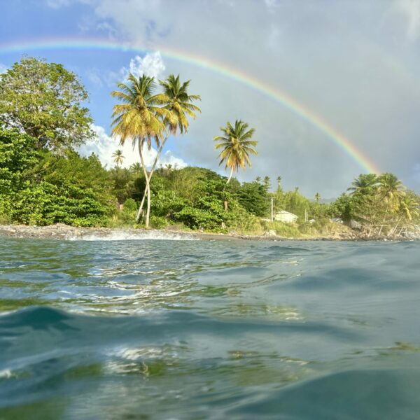 SportDiver_20260303_170139