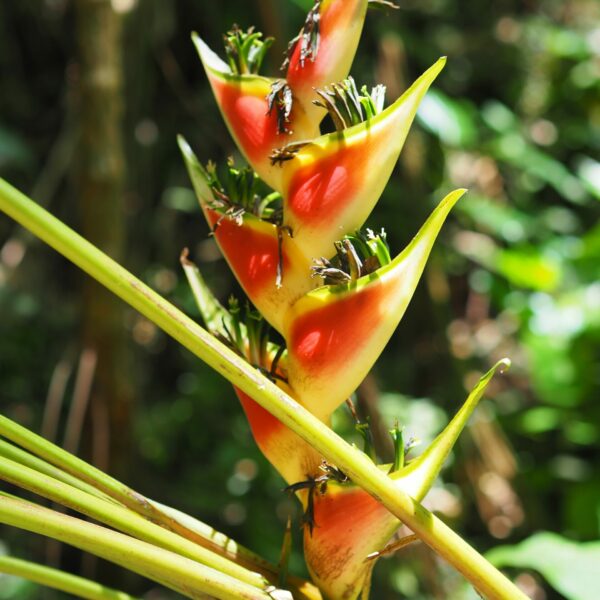 dc5ef8a1-99a3-410b-a580-8b95dda1e60e