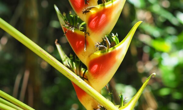 dc5ef8a1-99a3-410b-a580-8b95dda1e60e