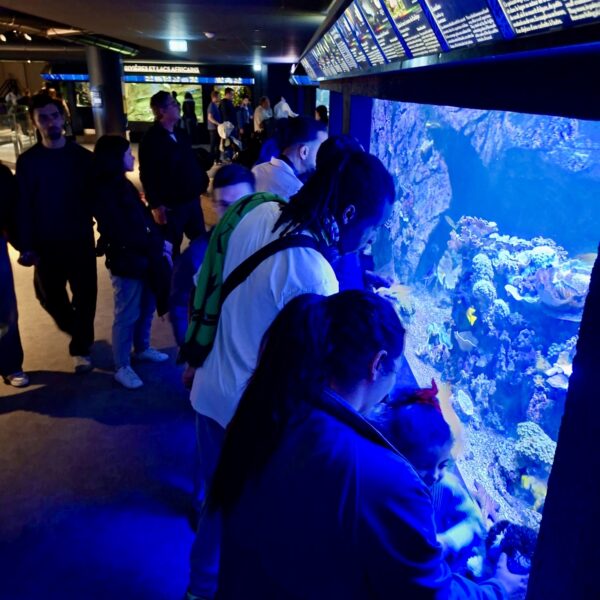 c61464f3-41b5-4c8d-944f-d037426c9195 c61464f3-41b5-4c8d-944f-d037426c9195