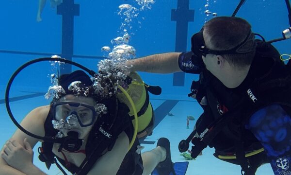 SportDiver_20260221_150101