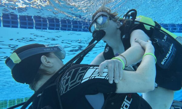SportDiver_20260221_153439