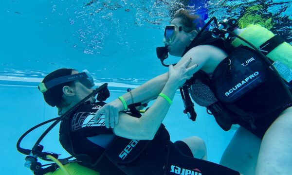 SportDiver_20260221_153504