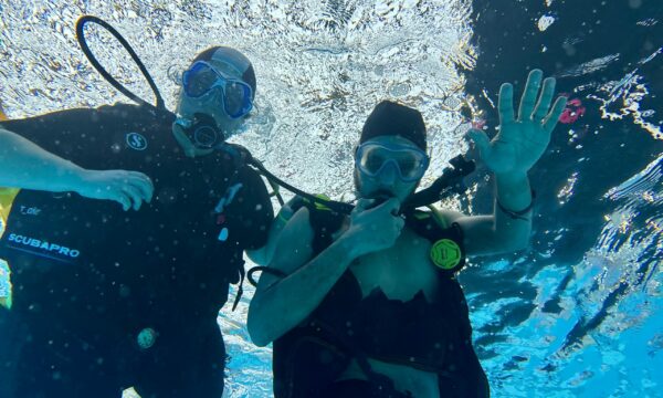 SportDiver_20260221_153611